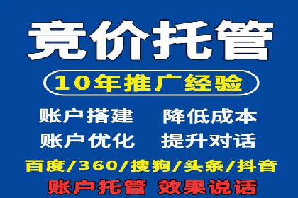 SEM竞价优化策略：成功案例解析